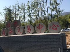 -长兴慧子土特产茶行