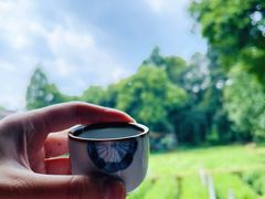 -野蔓果·山野菜(西湖景区·龙井茶田店)