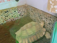 -上海大自然野生昆虫馆(东方明珠·爬宠昆虫探索中心)