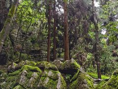 -梭布垭石林景区