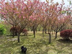 -梁鸿国家湿地公园