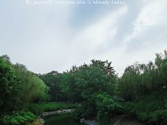 -大兴滨河森林公园