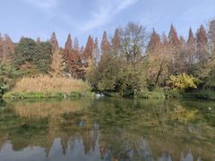 -成都杜甫草堂博物馆