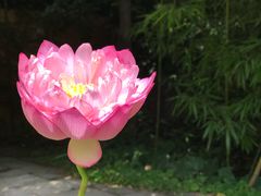 -无锡惠山寺