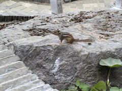 -红螺寺