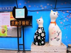 -猫咪博物馆(顶澳仔猫街店)