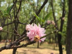 -森林公园(尖草坪区)