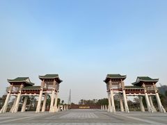 -王借岗森林公园
