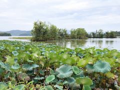 -池州市平天湖风景区