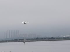 -东湖数字小镇