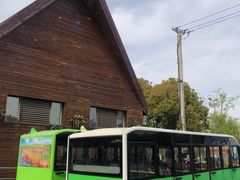 -合肥滨湖国家森林公园