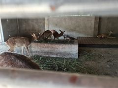 -西山漾湿地公园