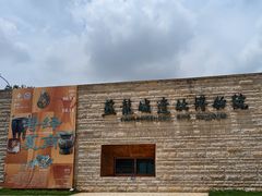 -盘龙城遗址博物院