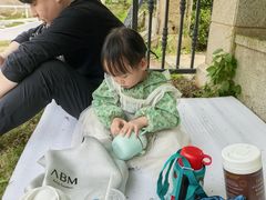 -九龙湖公园