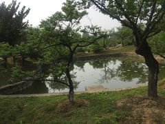 -林屋洞景区