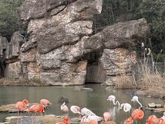 -宁波野生动物园