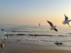 -老虎石海上公园