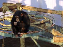 -西霞口神雕山野生动物世界