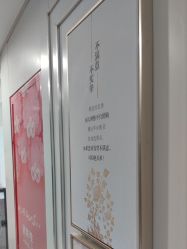 -镁连社·美联社