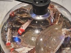-半岛听涛蒸汽海鲜自助(K11店)