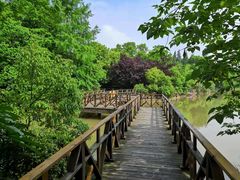 -上海海湾国家森林公园