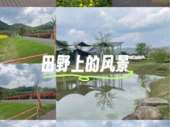 -径山花海