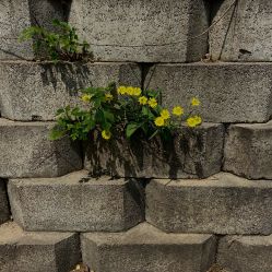 -河南省儿童医院(郑东院区)