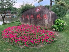 -鹅湖玫瑰文化园