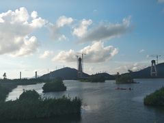 -芒洲湿地公园