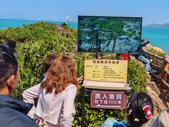 -杨梅坑