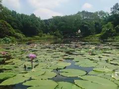 -云溪植物园