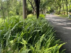 -深圳国际园林花卉博览园