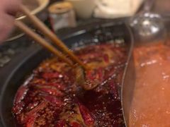 鸳鸯锅-蜀大侠火锅(建设路第五大道店)