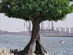 -咸阳湖景区