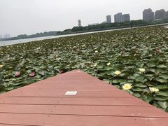 -暨阳湖生态园