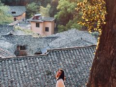 -杨家堂村