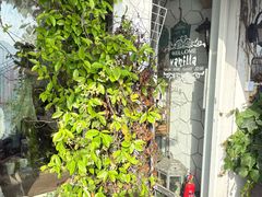 -Vanillacafe香草咖啡(银海大世界店)