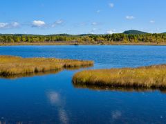-塞罕坝国家级自然保护区