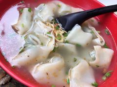 荠菜鲜肉大馄饨-老味道(田子坊店)