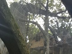 -青青世界
