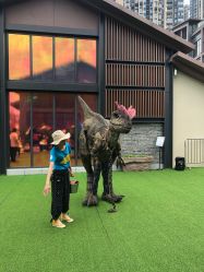 -恐龙探索乐园(磁器口店)