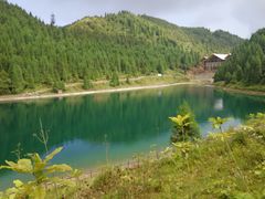 -武陵山森林公园