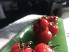-蔓兰家的四季S0餐厅·融合菜(当代MOMA店)