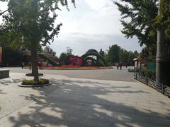 -大兴滨河森林公园