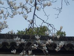 -常熟方塔园