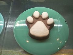 -猫咪博物馆(顶澳仔猫街店)