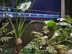 -陈熹公民族美食文化餐厅(中华广场店)