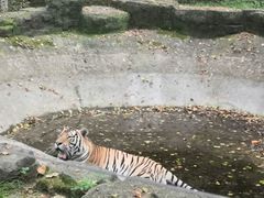 -哈尔滨北方森林动物园