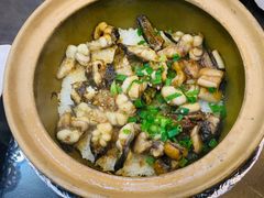 -红星光发煲仔饭(文海店)