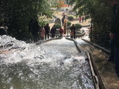 -祥源·阜阳生态乐园